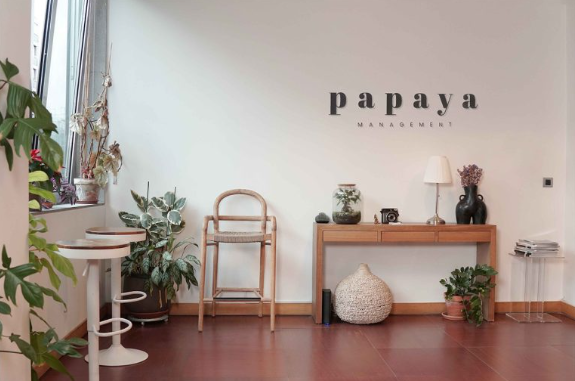 Papaya Management Office - Creative Space